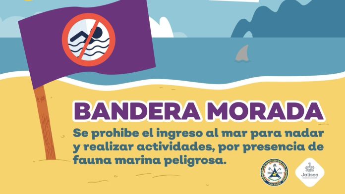 Cierran playas en el Sur de Jalisco por la presencia del al menos un tiburón