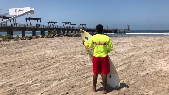 Tras el ataque de un tiburón en Melaque Jalisco, en la playas de Nayarit se refuerzan acciones preventivas.