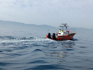 Continúa búsqueda de desaparecido en playa Camarones