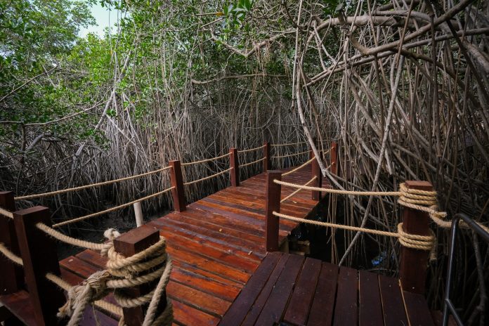 Estero El Salado permanecerá cerrado al público en Semana Santa