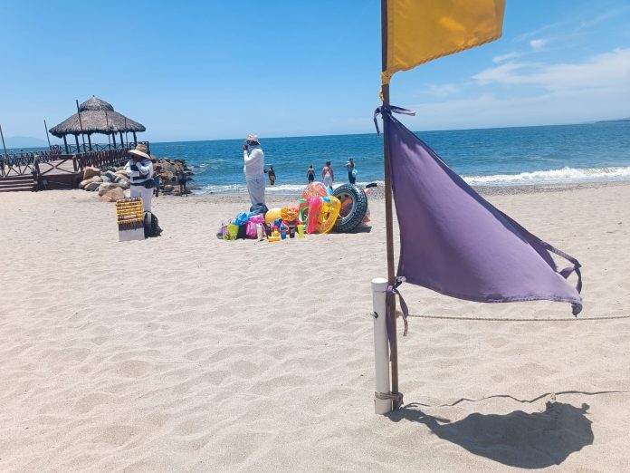 Bandera Morada por Marea Verde