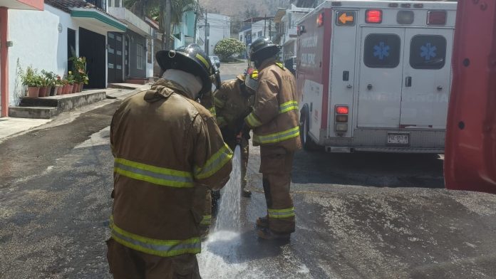 Bomberos de Nayarit rescatan a trabajador atacado por abejas