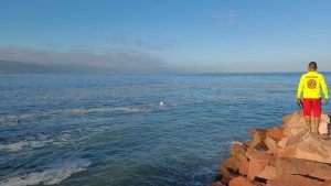 Cuerpo sin vida encontrado este lunes en el mar de Puerto Vallarta; causas de muerte e identidad desconocidas 
