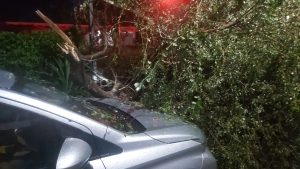 Los bomberos de Nayarit ofrecen atención constante a los efectos naturales provocados por las lluvias de este fin de semana