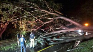 Los bomberos de Nayarit ofrecen atención constante a los efectos naturales provocados por las lluvias de este fin de semana