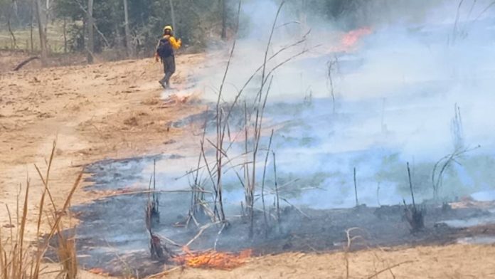 Dos helicópteros, incluido el Witari, se sumaron al combate del incendio en Tomatlán, informó el gobernador de Jalisco, Pablo Lemus