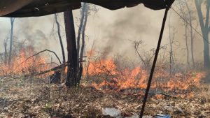 El incendio en Mascota, Jalisco, moviliza a más de 100 combatientes forestales. Protección Civil declara alerta ambiental en la zona