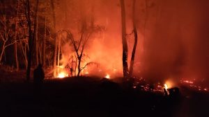 El incendio en Mascota, Jalisco, moviliza a más de 100 combatientes forestales. Protección Civil declara alerta ambiental en la zona