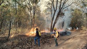 El incendio en Mascota, Jalisco, moviliza a más de 100 combatientes forestales. Protección Civil declara alerta ambiental en la zona
