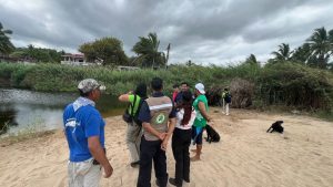 Un cocodrilo mordió a un menor en Compostela. El niño pescaba en el estero Paraíso Escondido. Autoridades piden reforzar la seguridad