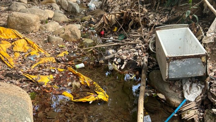 Vecinos de Mismaloya recogen más de 700 kilos de basura durante la limpieza por la conmemoración del Día del Medioambiente