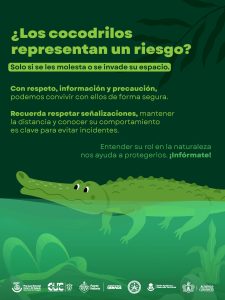 Semadet lanzó una campaña en Puerto Vallarta para fomentar la convivencia seguro-respetuosa entre habitantes y cocodrilos