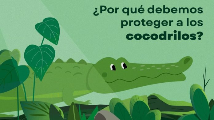 Semadet lanzó una campaña en Puerto Vallarta para fomentar la convivencia seguro-respetuosa entre habitantes y cocodrilos