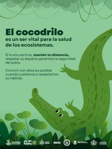 Semadet lanzó una campaña en Puerto Vallarta para fomentar la convivencia seguro-respetuosa entre habitantes y cocodrilos