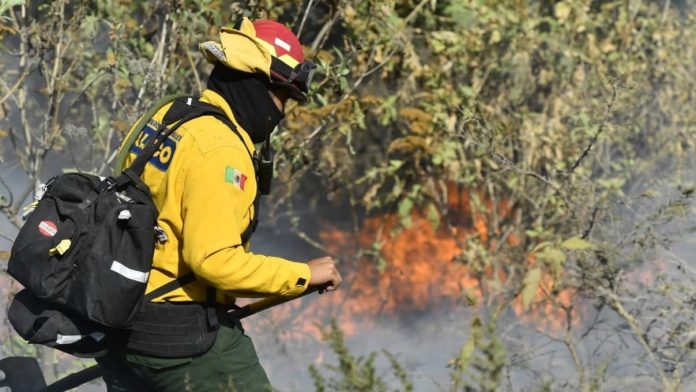 Tomatlán registra diez incendio forestales en la semana